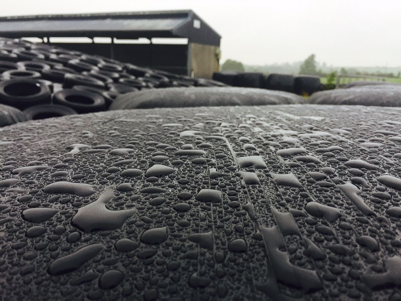 Foggy, cloudy and wet weather is on the way - Met Eireann