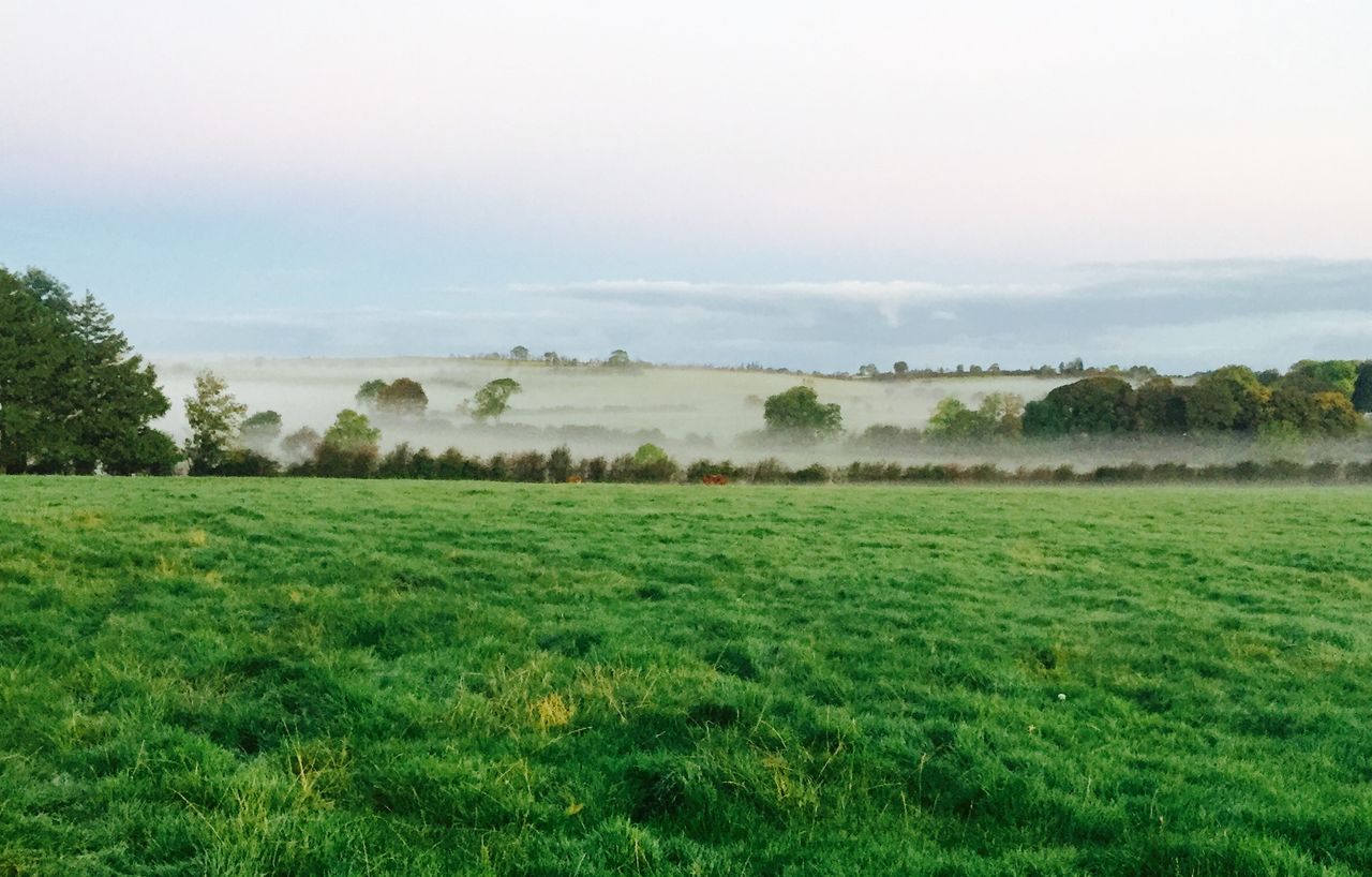 'Benchmarks for your farm must be ones you can achieve and are comfortable with'