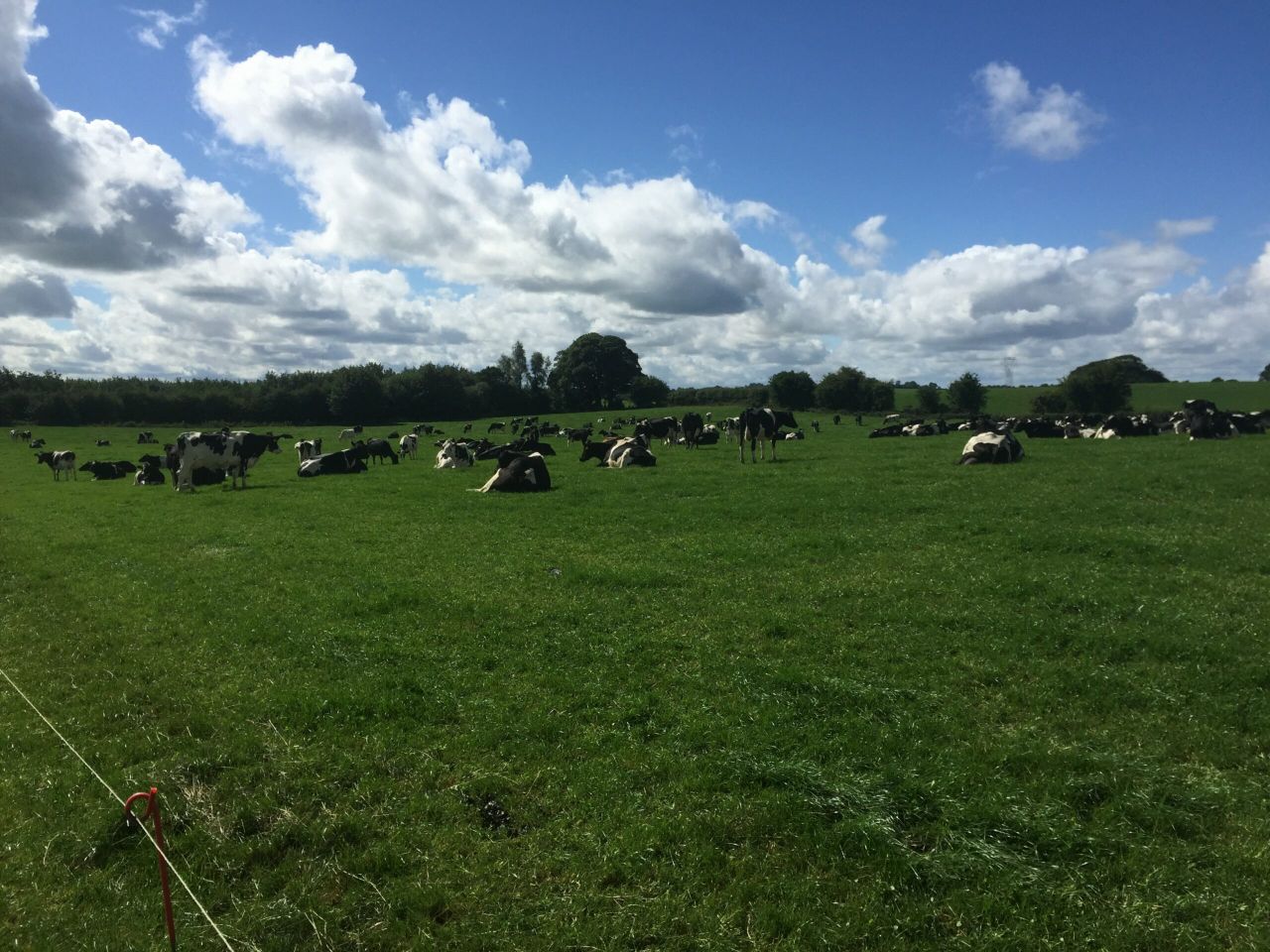 'Dairy farmers with plans to expand should be spending money on grass growth'