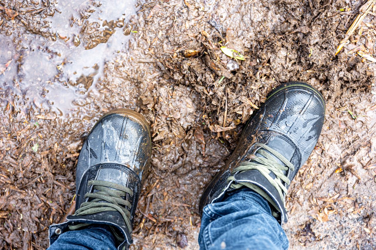 Commission clarifies support for farmers during extreme weather events