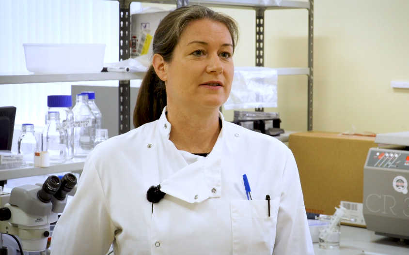 'It’s important that we reduce our reliance on anthelmintics'