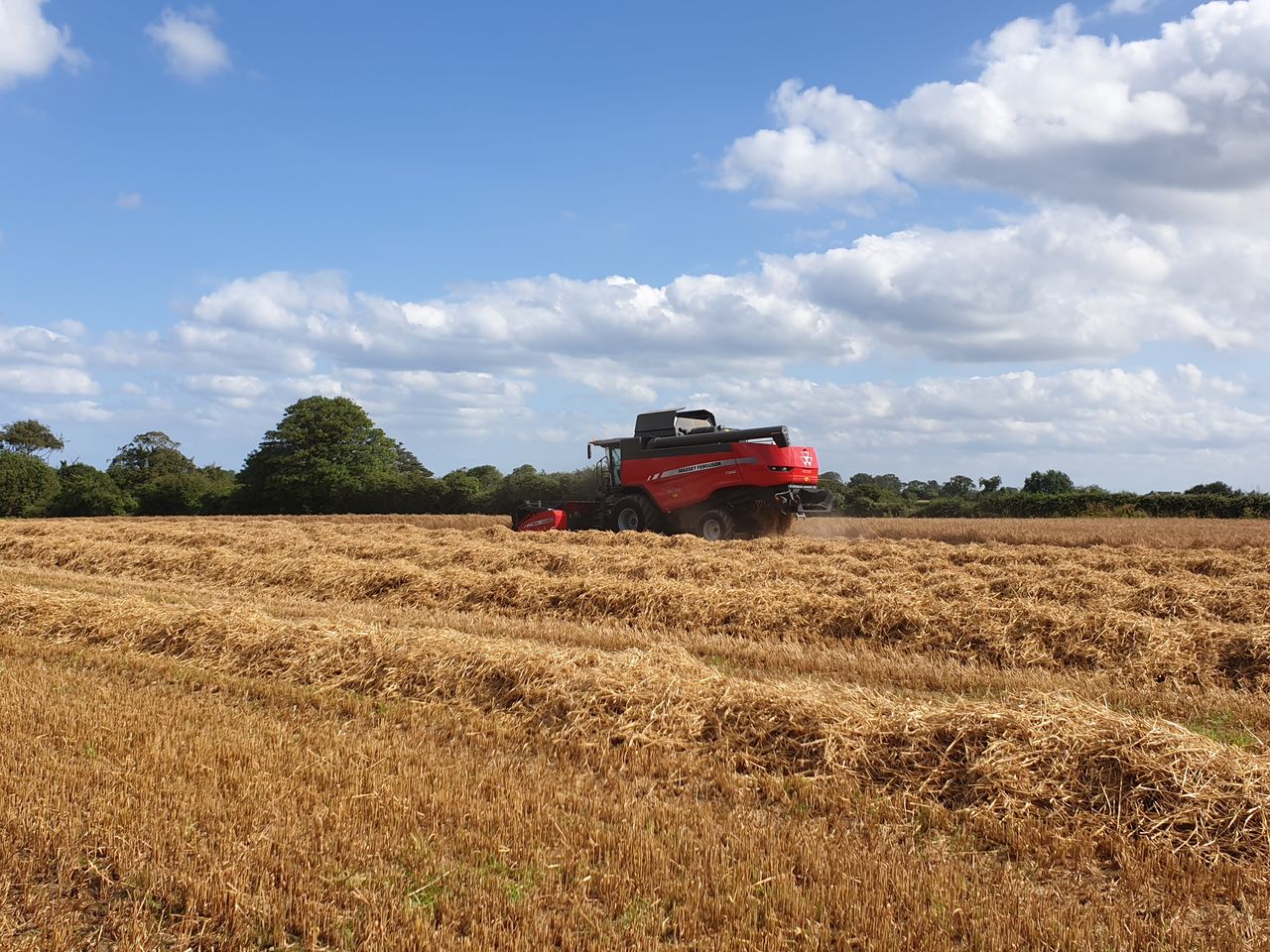 Combine harvesting: How much does it cost?