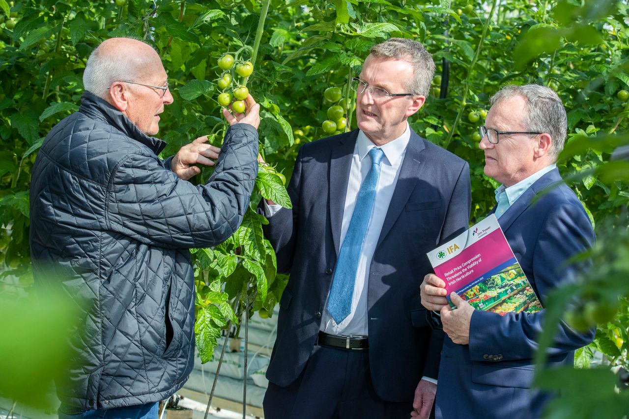 Jim Power: 'Absolutely disgraceful' if we need horticulture imports