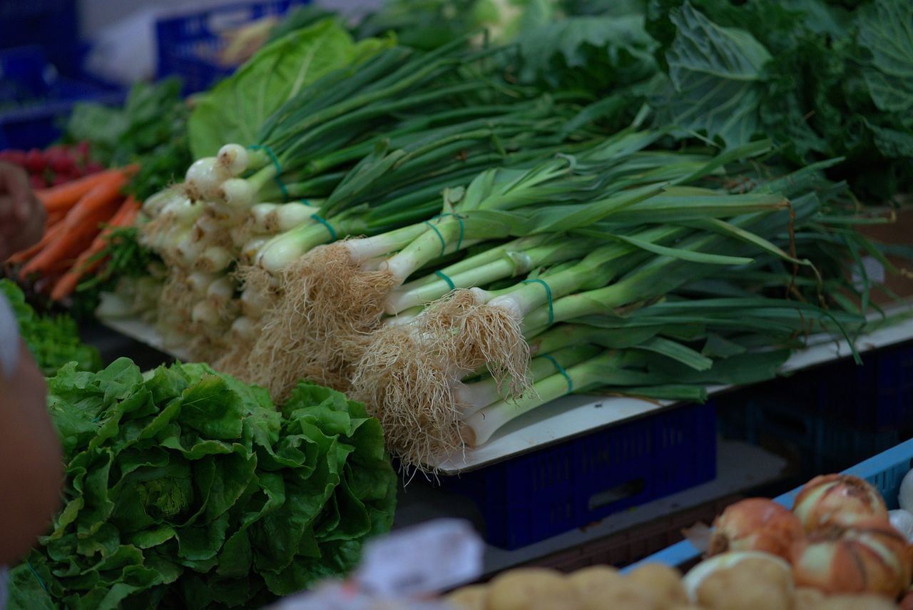 Farmers' markets show the 'spirit of survival' amid their return