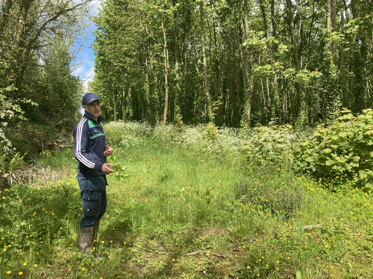 Farming for Nature: Dairy farmer cuts nitrogen use by 25%