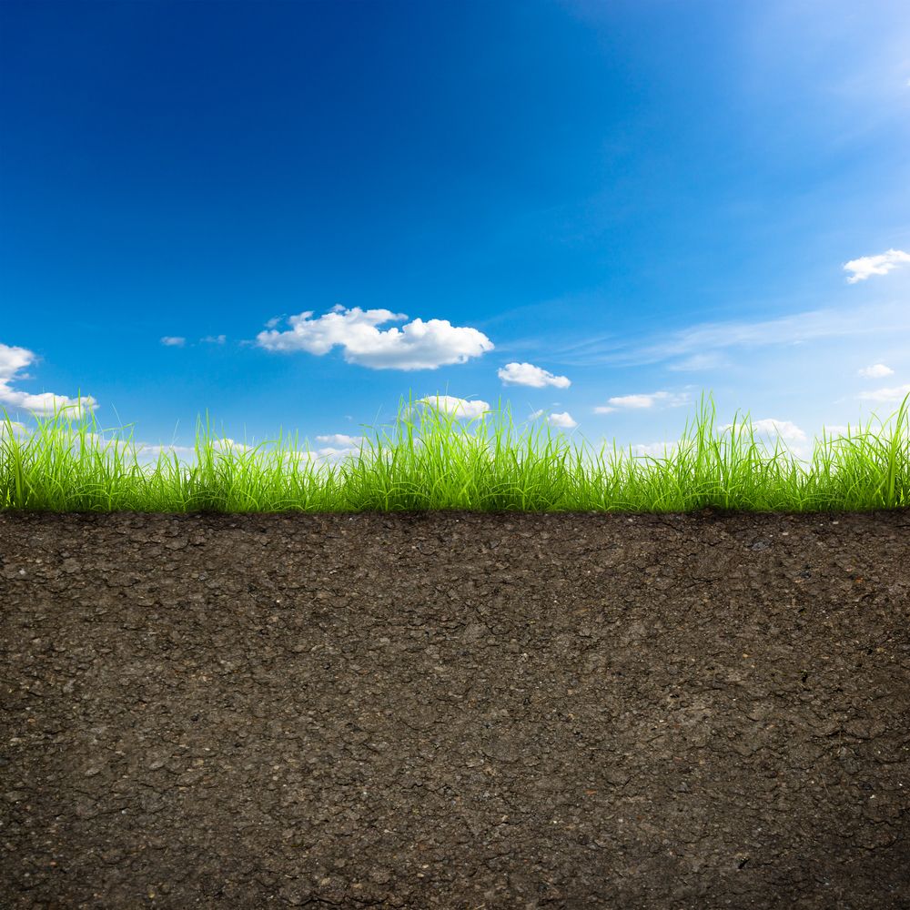 Grasstec: Important grazing decisions