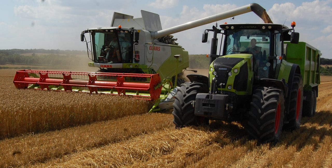 UK wheat harvest underway