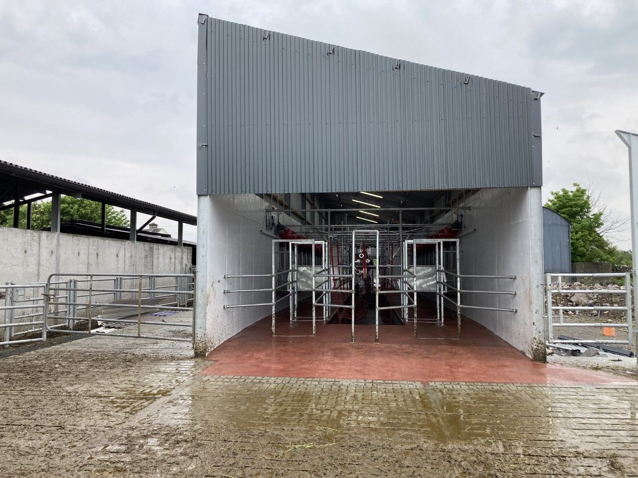 Buildings Focus: Saving 4 hours a day with a new 20-unit parlour in Co. Mayo