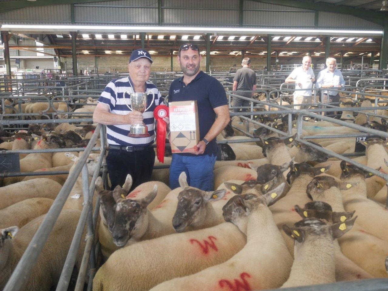 Hoggets top €275/head at Suffolk-cross show and sale