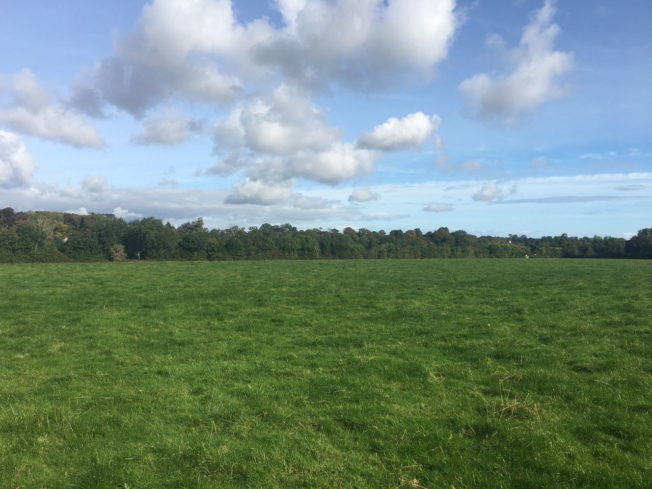 Bellewstown land parcels hit the market