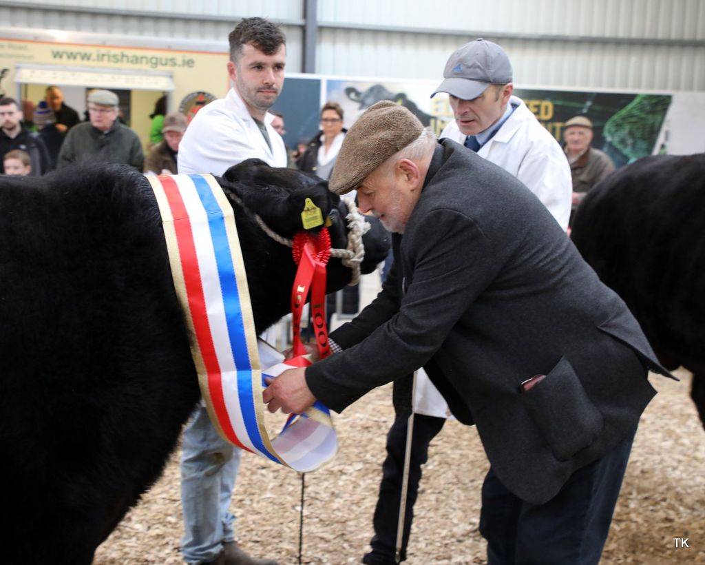 Judge in the pre-sale show was Albert De Cogan. Source: Tricia Kennedy