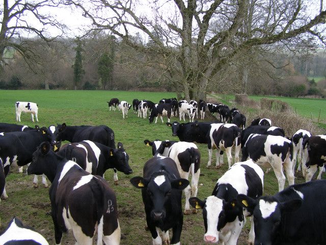 Deadline approaches for Teagasc diploma applications