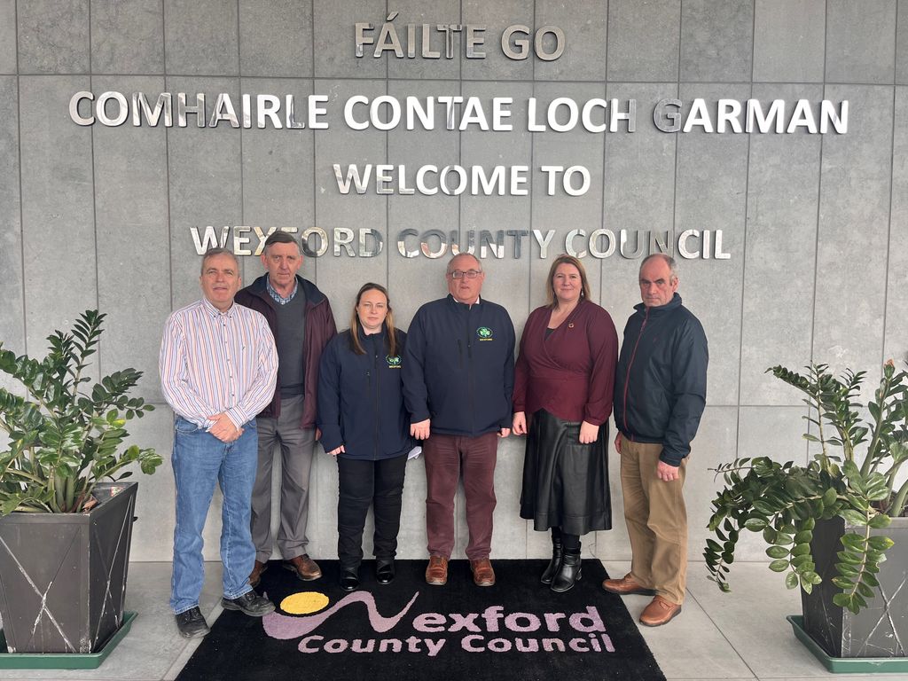 (L-R) Gerry Forde, Tom Doyle, Jackie Whelan Fagan, Wexford IFA chair Jer O' Mahony, Carolyne Godkin and Pat Murray. Image Source: Wexford County Council on X/Twitter