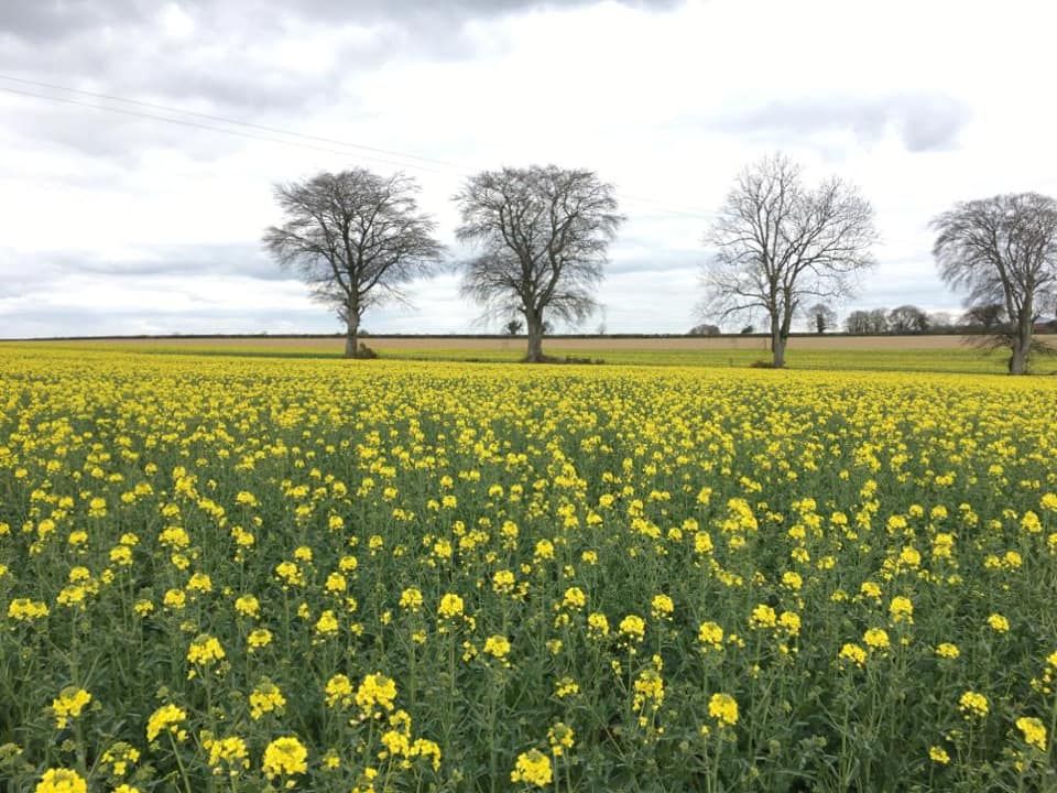 Crop walking: Early crops in the south powering ahead