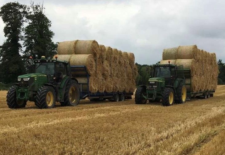 Straw price meets floor as demand comes with wet weather