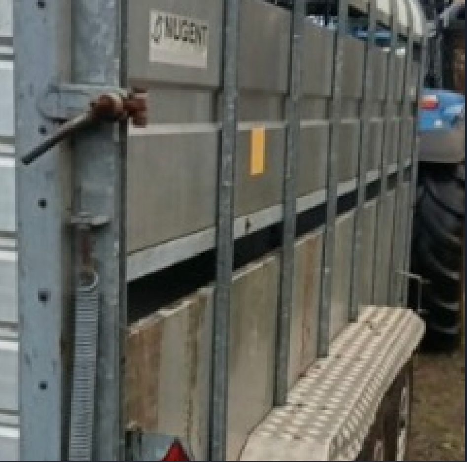 Cattle trailer theft investigated by gardaí