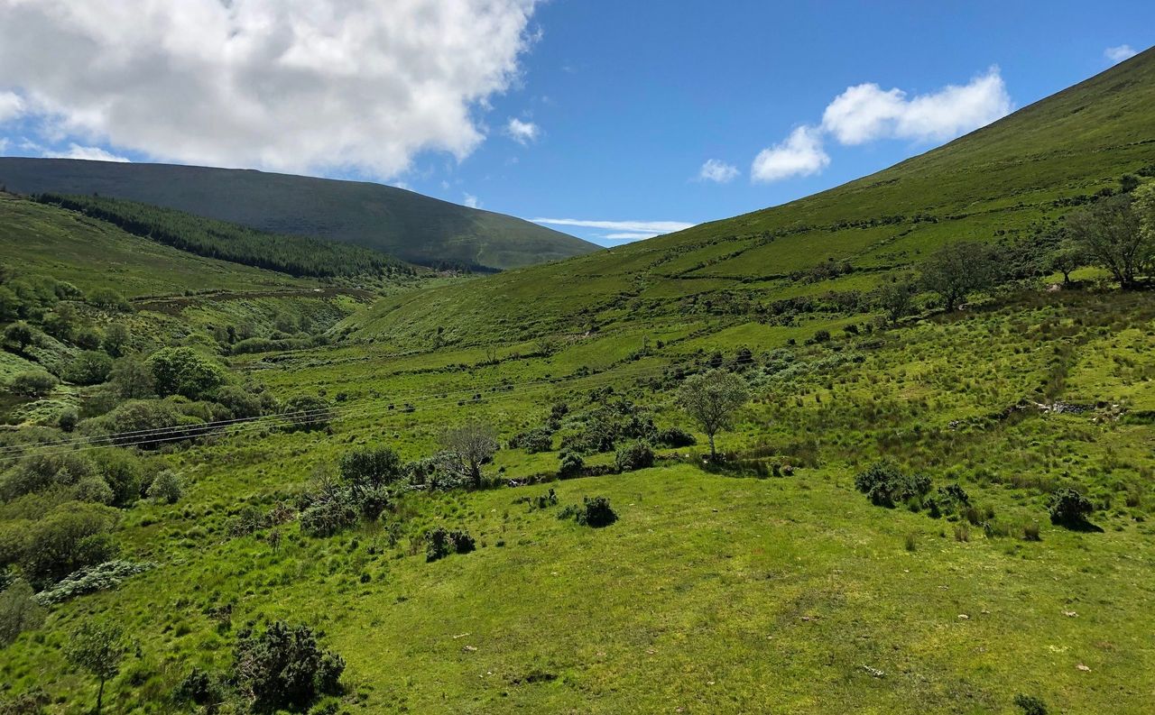 'Climate of distrust' between Kerry County Council and landowners