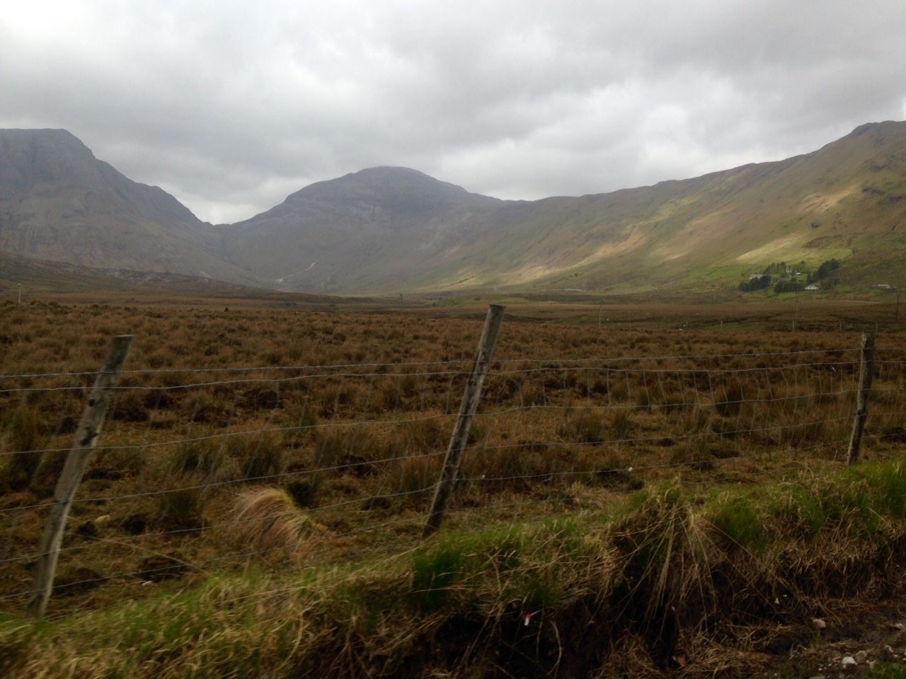 INHFA: 'Major concern' for commonages in GLAS replacement