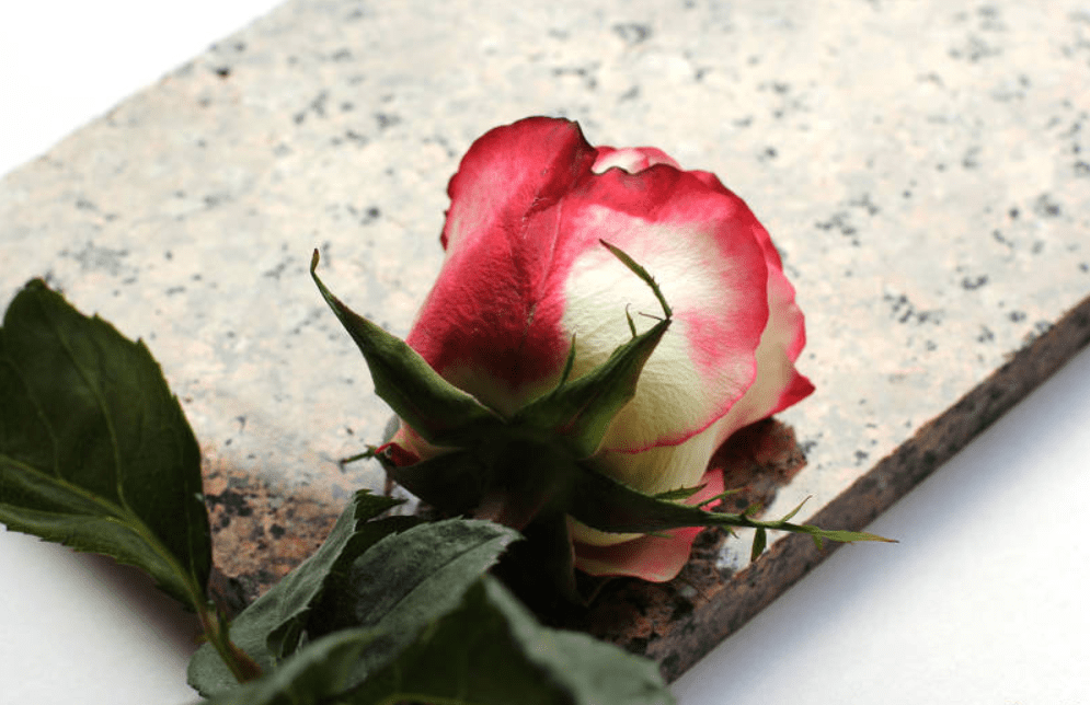 Cooney Furlong 'deeply saddened' following death of worker