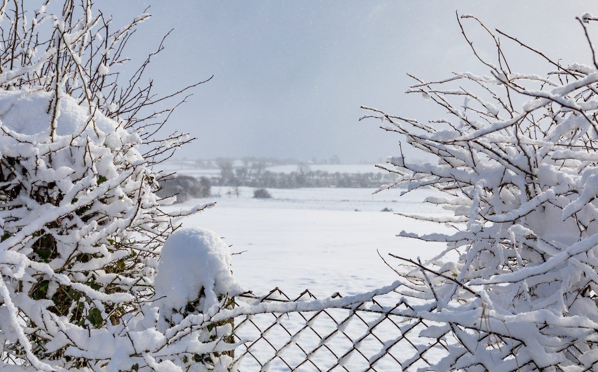 Snow-ice warning issued nationwide