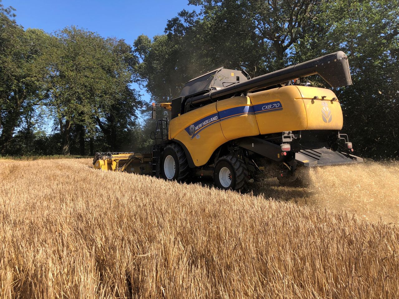 Harvest update: Majority harvested in east Cork