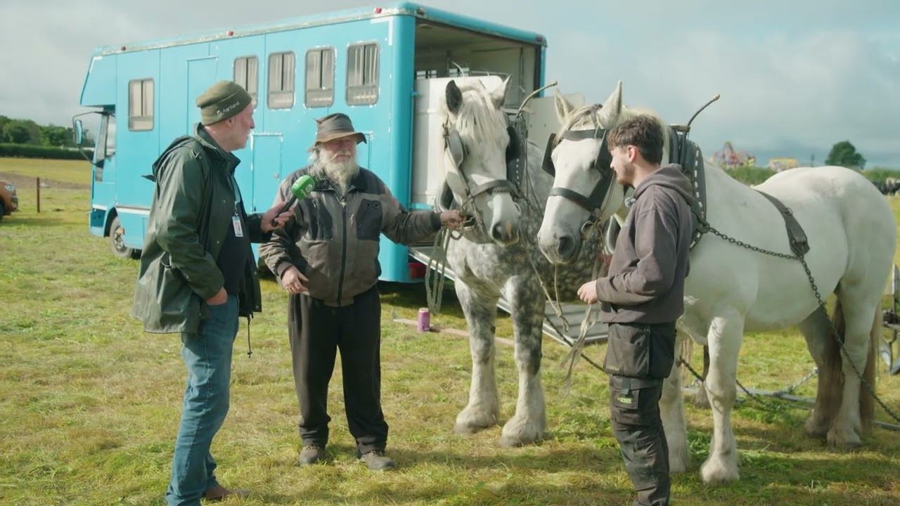 Speaking to horse ploughing competitors at Ploughing 2026