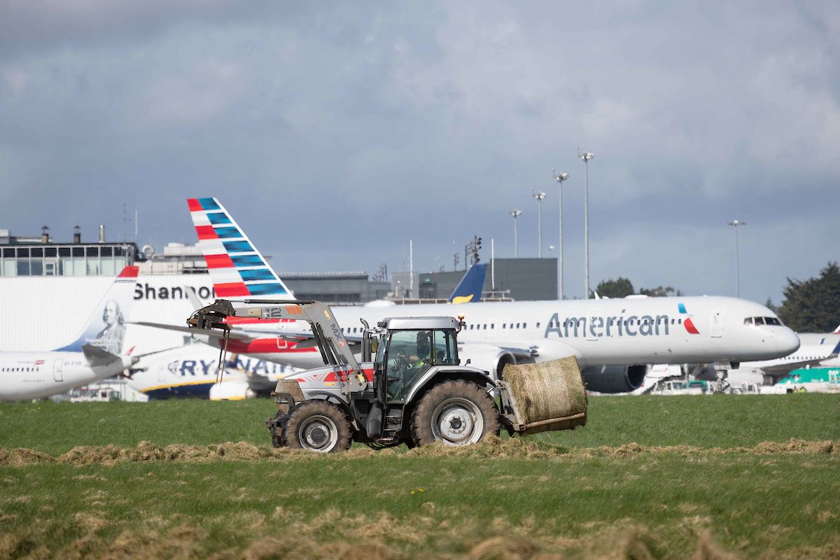 Video: Harvesting of up to 1,000 bales of silage takes place in Shannon Airport