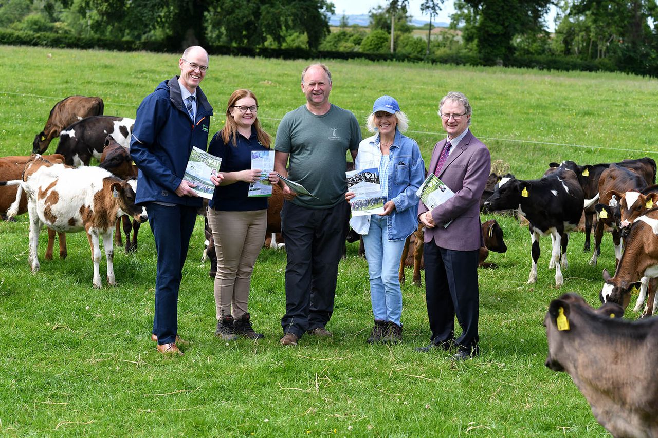Regional review: Farming activity from Donegal to Clare