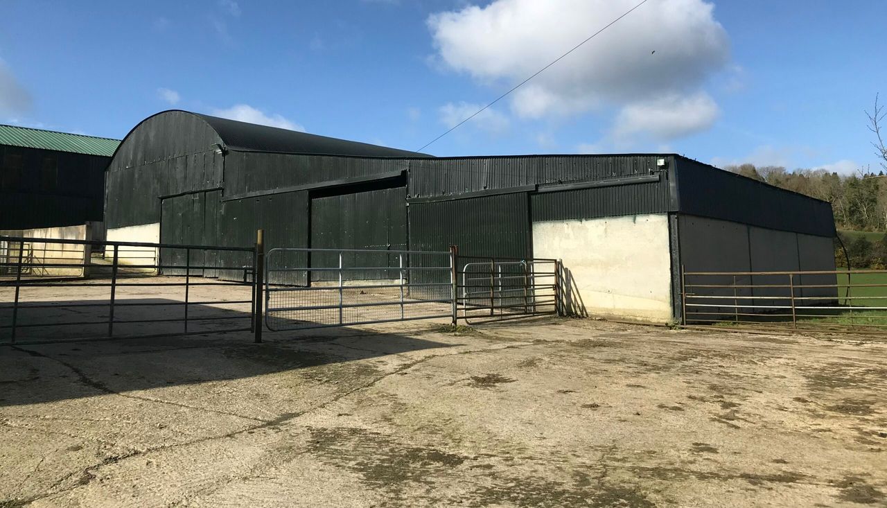 'Refusal of TAMS applications very disappointing' - IFA