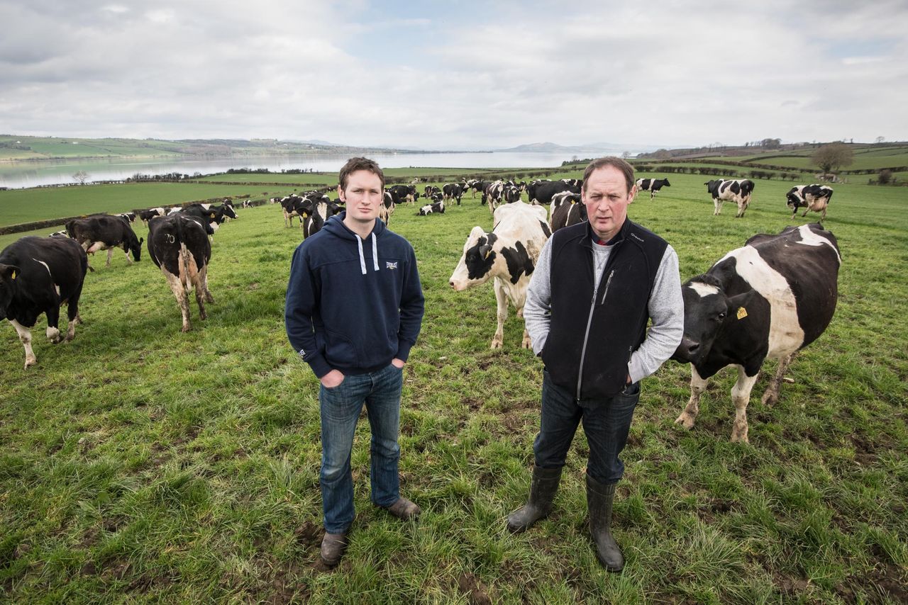 Top Donegal and Westmeath dairy farmers to hold farm efficiency events