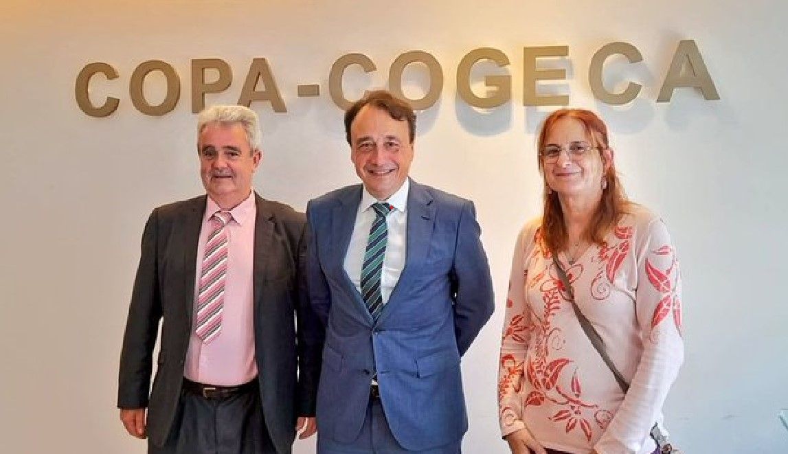Comiskey elected vice chair on sheep at Copa-Cogeca