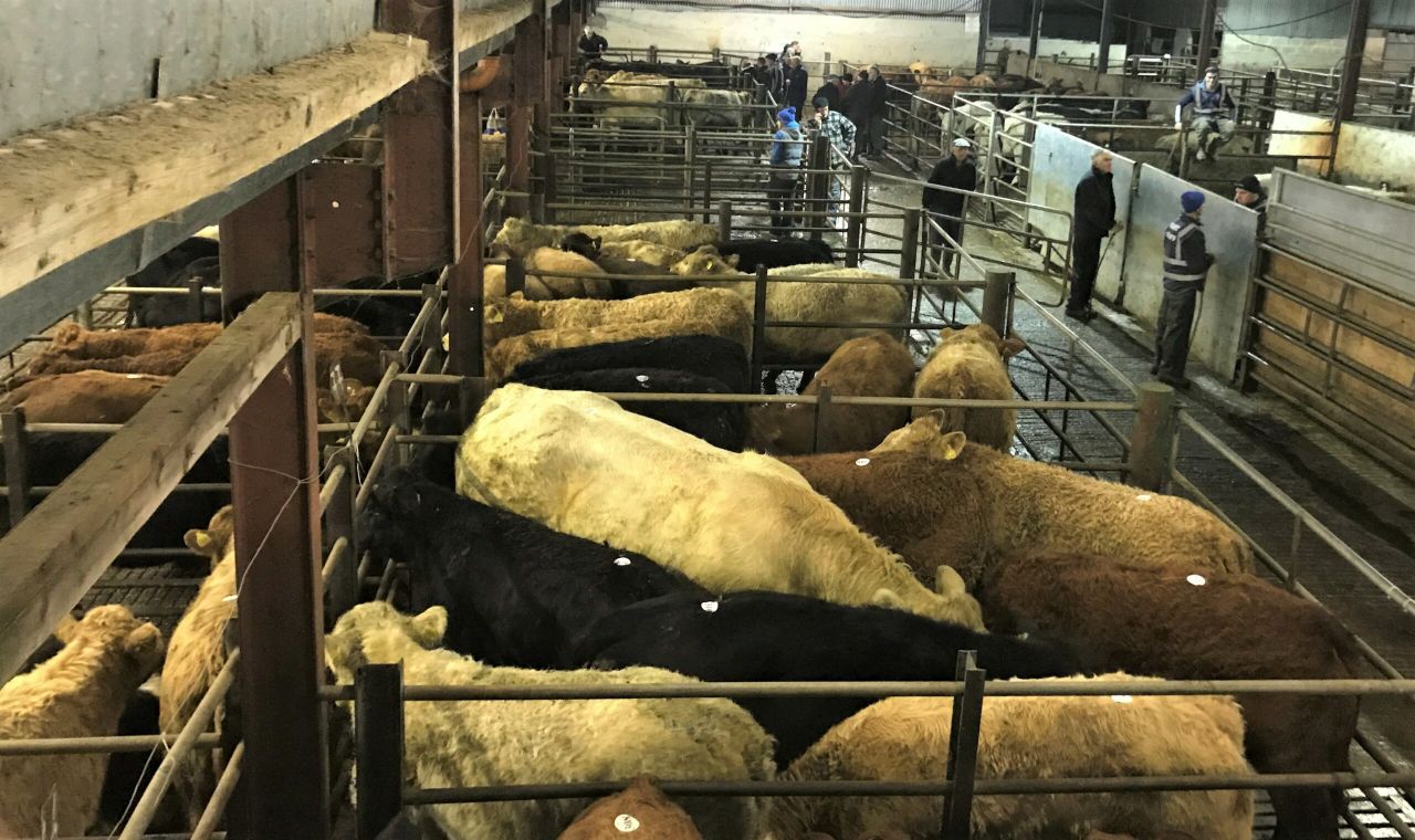 Cattle marts: Prices improve on the pre-Christmas period