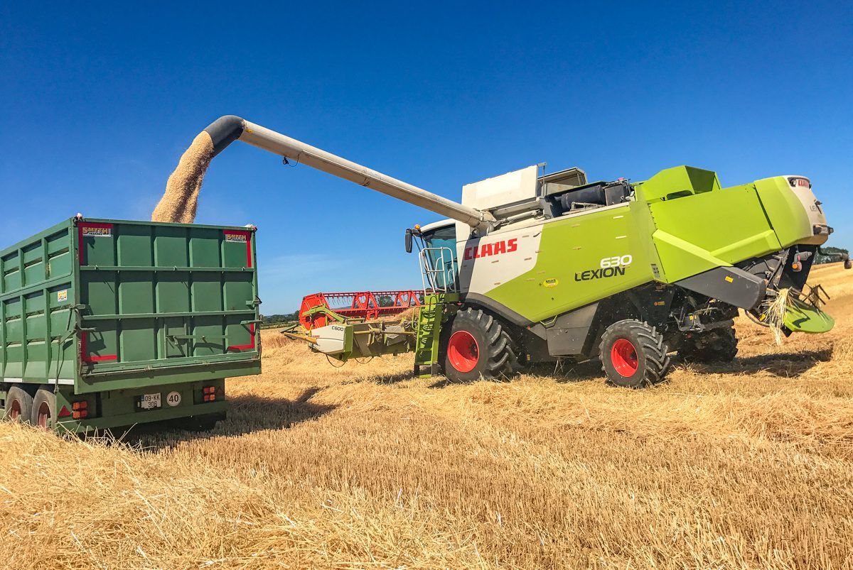 Tillage focus: Harvest kicks off in Co. Kilkenny