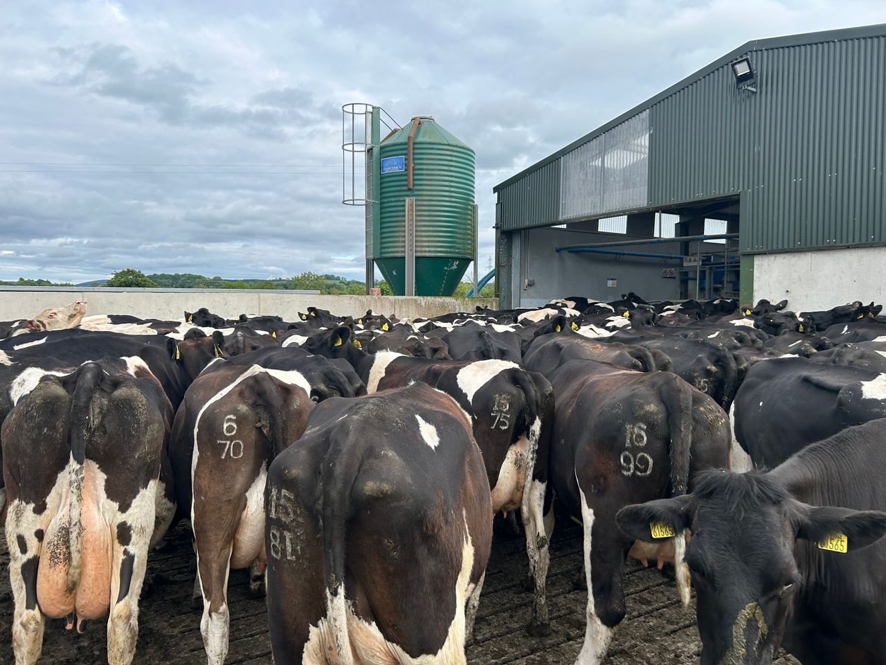 Milk price tracker: Prices continued to improve in June