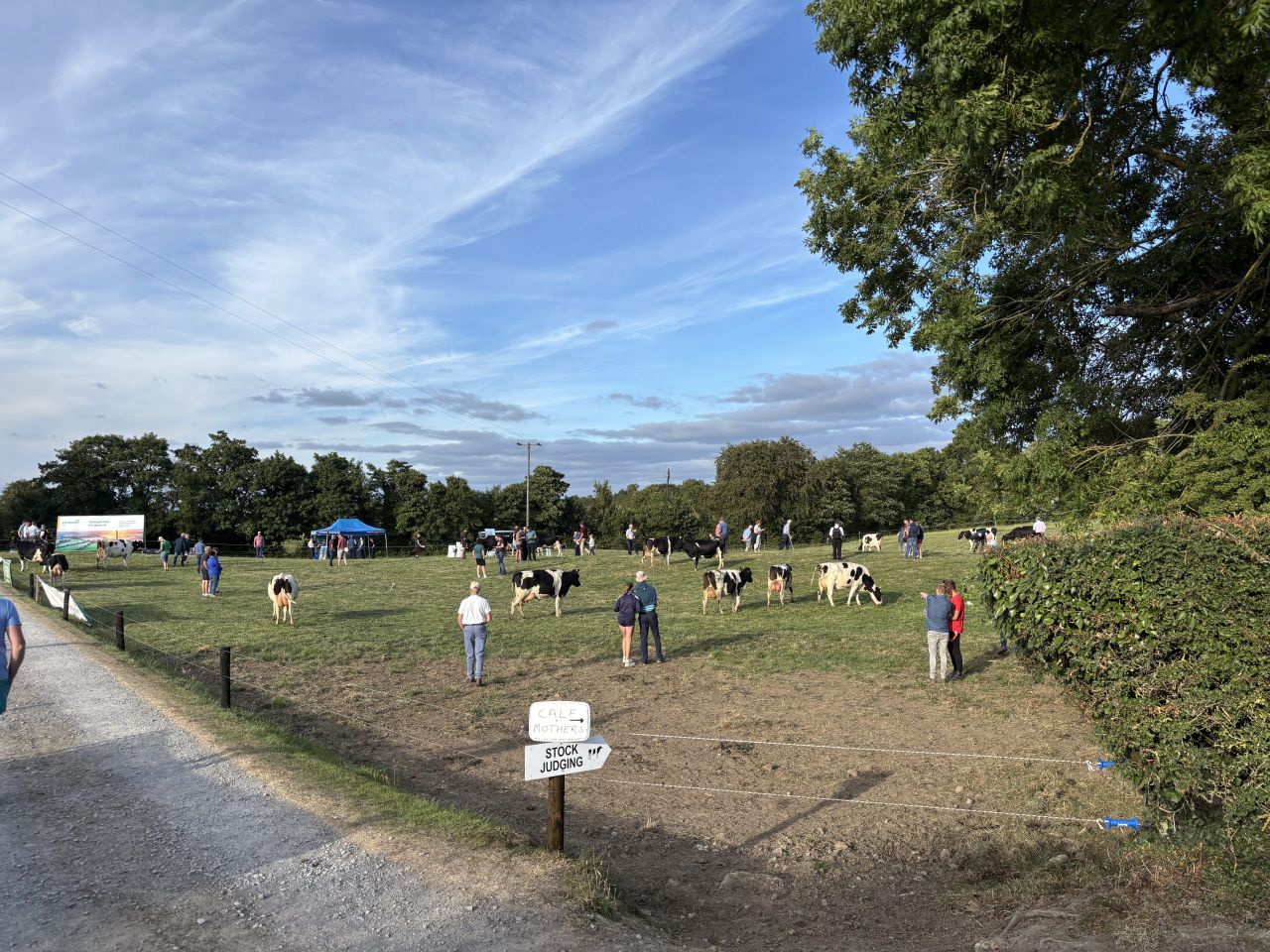 Tipperary farm hosts Irish British Friesian Club open evening 