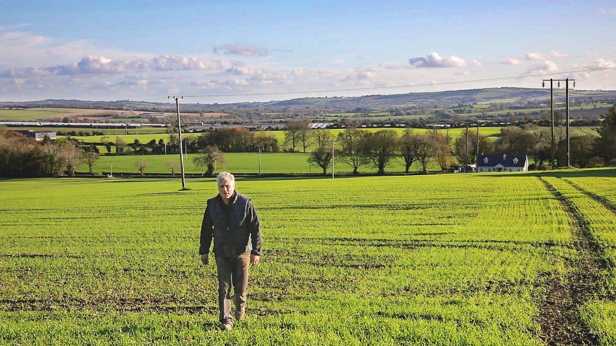 Agricultural input price index up 5.2% on March 2018 levels