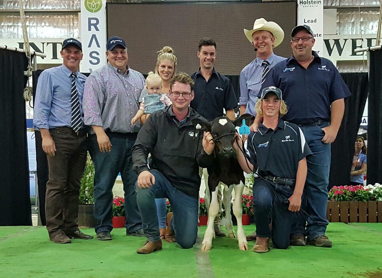 Holstein heifer calf sells for over €175,000 in Australia