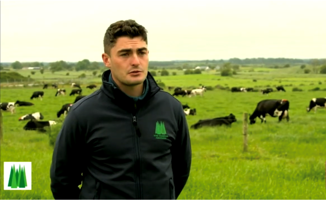 'Not incorporating clover originally was a mistake'