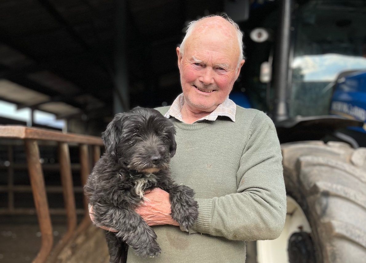 Finding missing Westie 'better than winning the lottery' for farmer