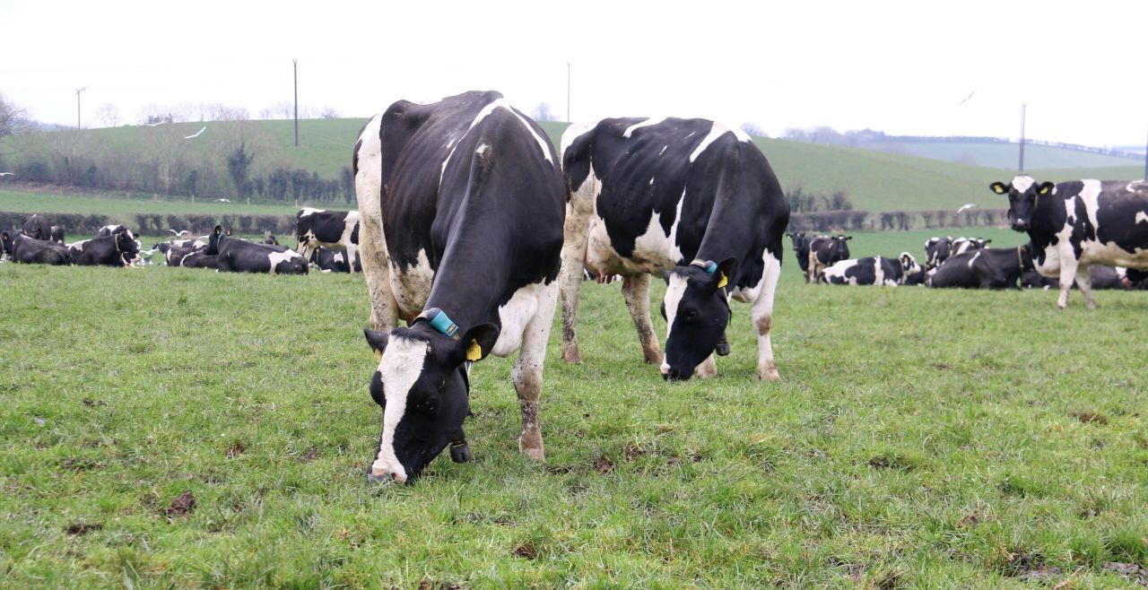 Grass growth fortunes turning as temperatures start to rise