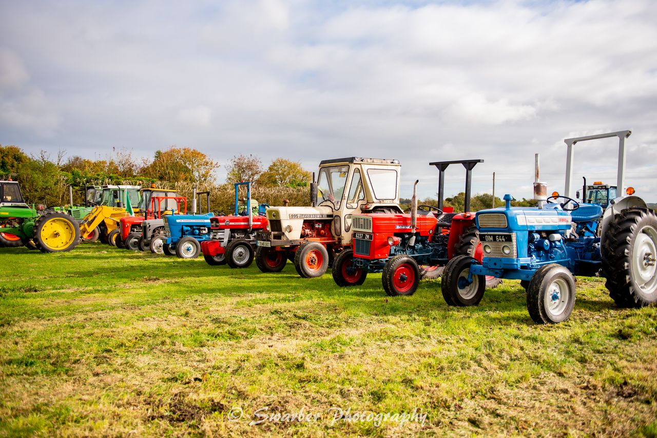 Expanding Glenamaddy Show with ploughing demos and poultry classes