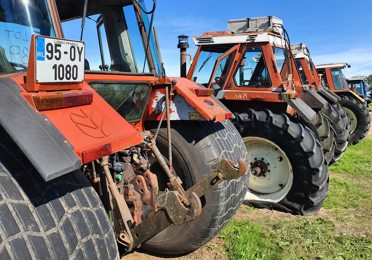 Auction report: Gambling on 'terracotta'...at big Bord Na Móna sale?