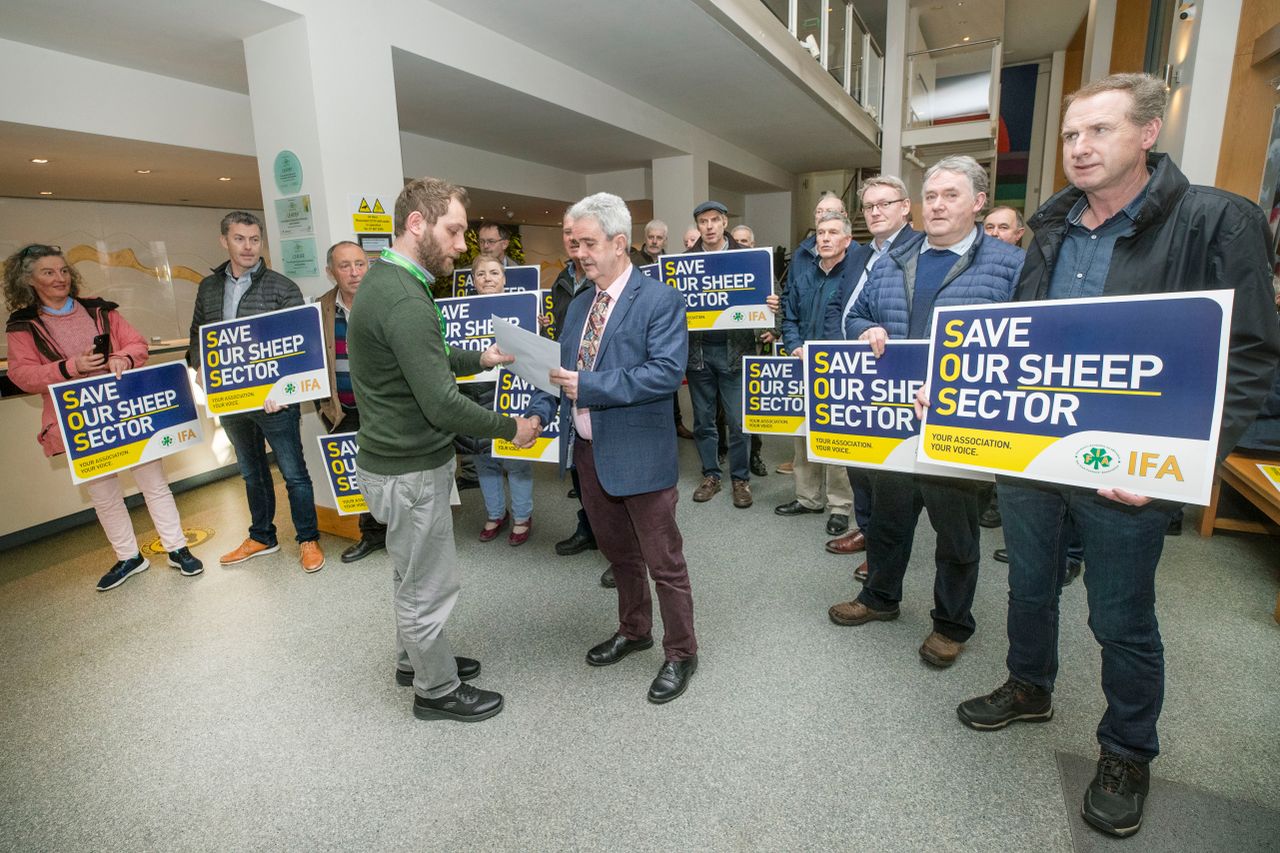 IFA presents submission to DAFM on sheep sector crisis