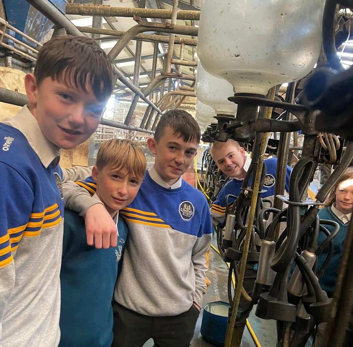 Agricultural course captures the hearts of Wexford school students