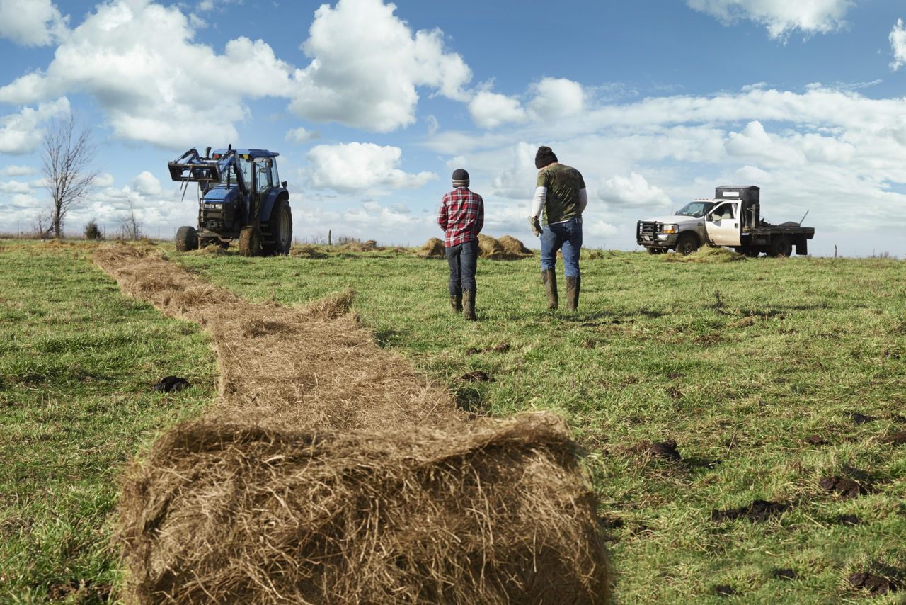 'No meaningful support' for young NI farmers this year - UFU