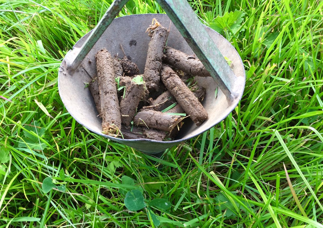 AFBI soil sampling project aims to sample 700,000 fields - Agriland.ie