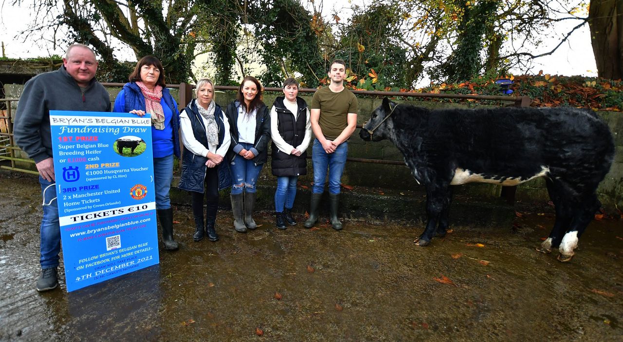 Belgian Blue the star of fundraising draw for Bryan