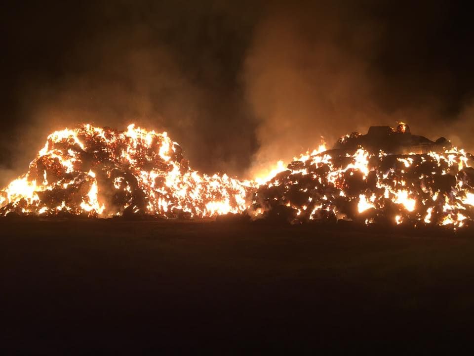 Forest fire warning - 'need for vigilance cannot be overstated'