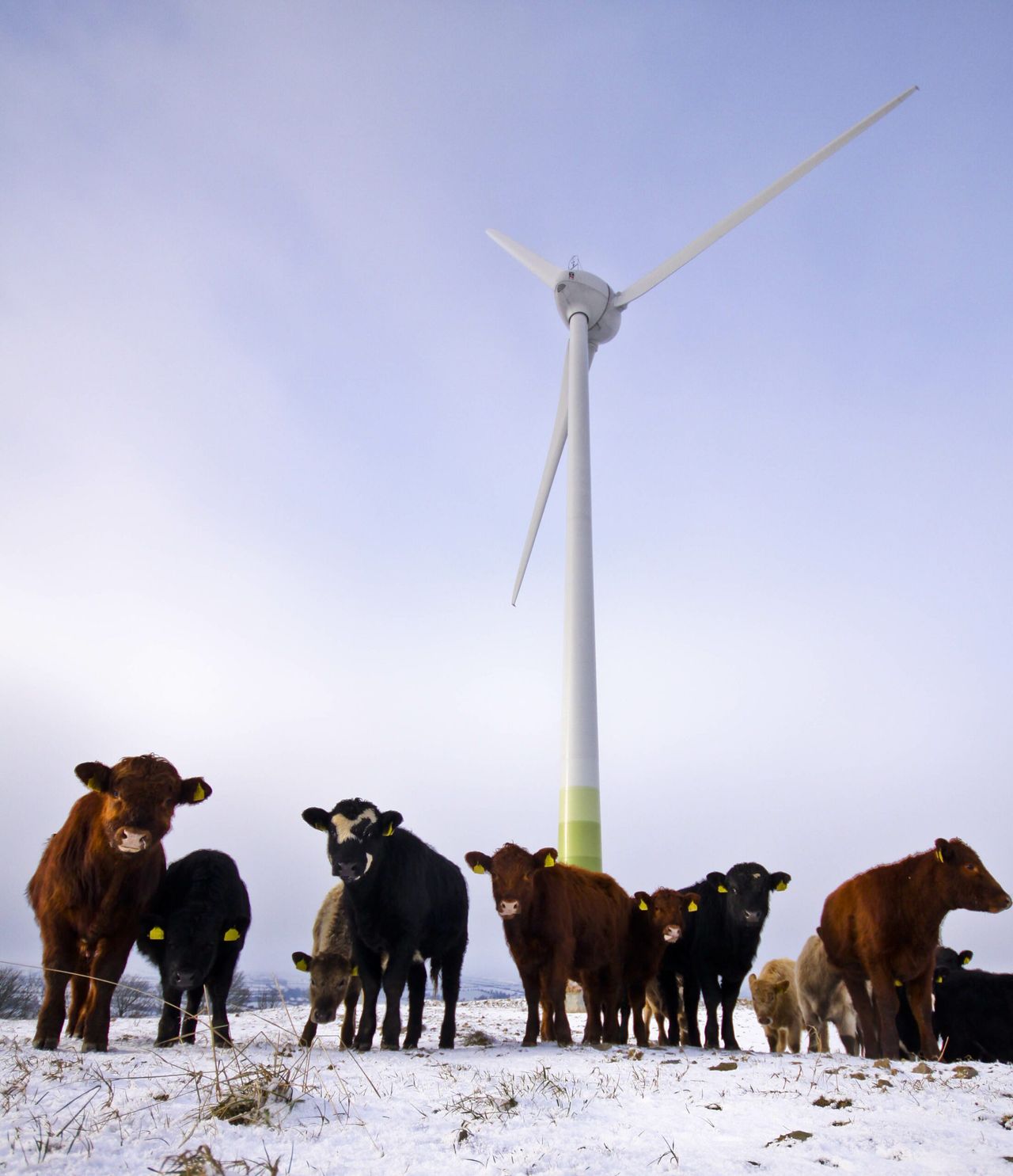 Will wind turbines negatively impact on the price of your property?