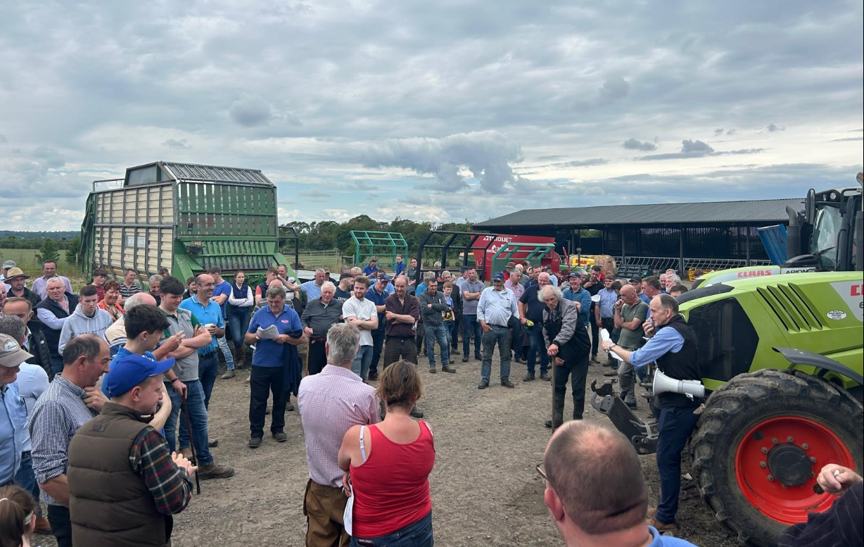 Top price of €6,250 for cow-calf pair at Crann Mor sale
